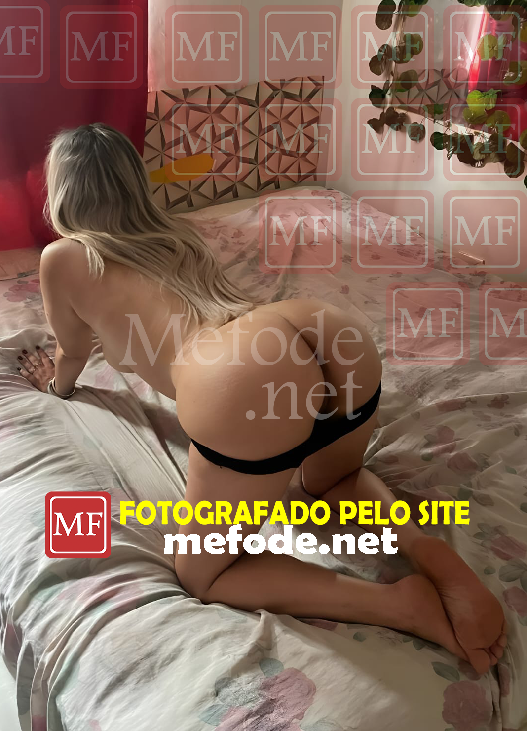acompanhante-Curitiba-Boqueirao-Lesbianismo - Oral com mulheres-Karol 
